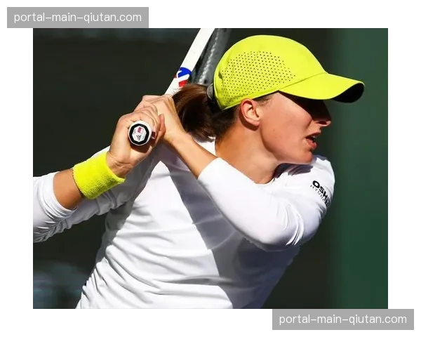 一名球迷因在印第安维尔斯赛场辱骂球员被终身禁止观赛